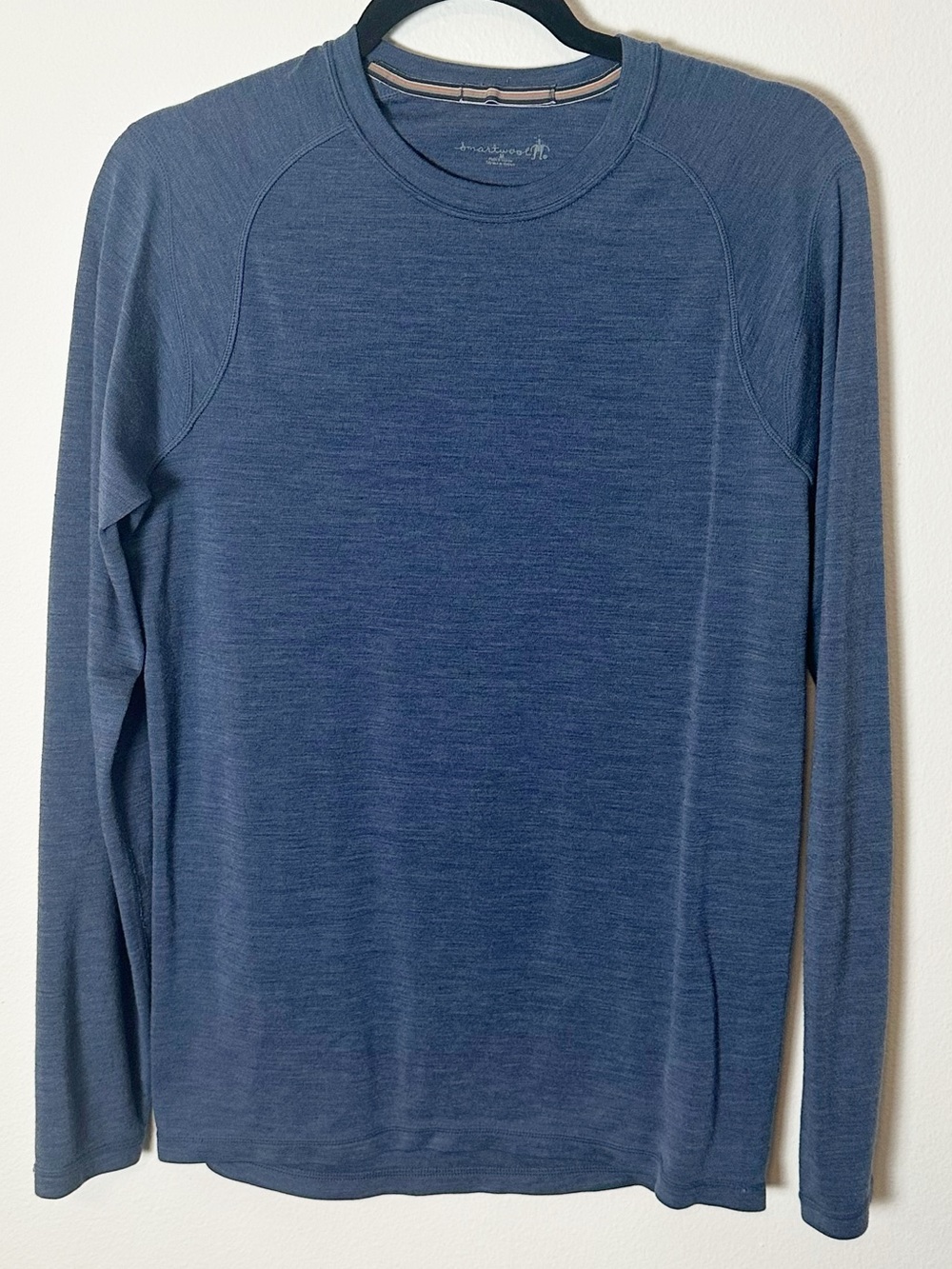 Smartwool Men's 100% Merino Wool 250 Long Sleeve Top Base Layer Blue Heather M